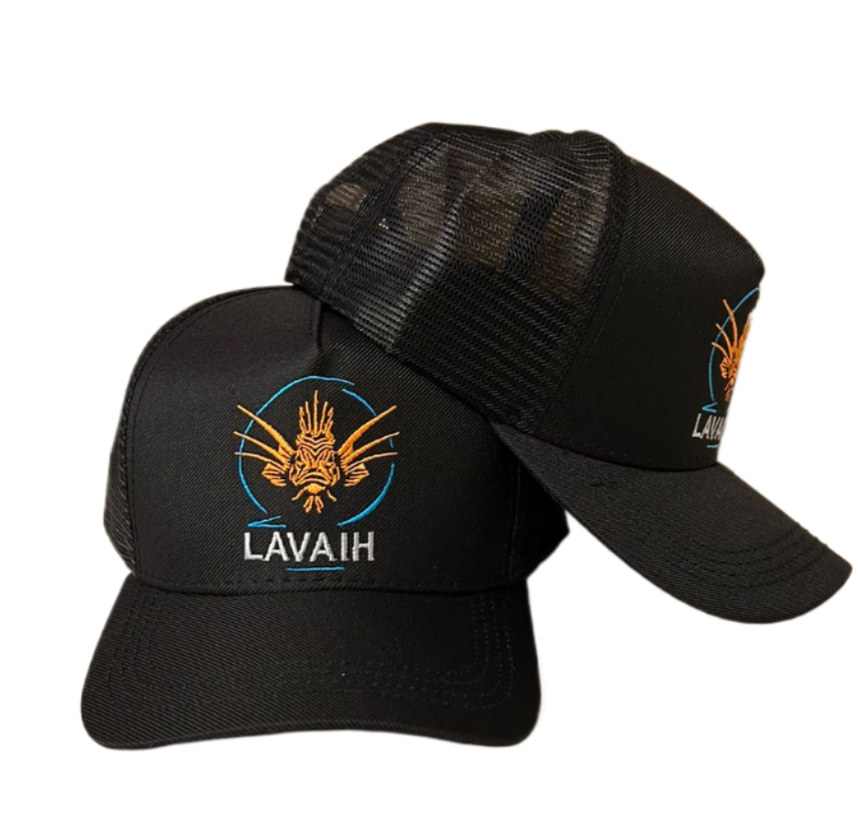 Vagas LAVAIH